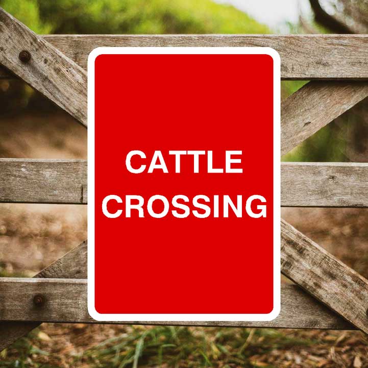 Cattle Crossing Sign Portrait