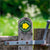 Countryside Public Footpath Yellow Arrow Waymarker sign