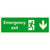 Emergency Exit Sign Down Arrow