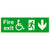 Glow In The Dark Fire Exit Disabled Sign Down Arrow