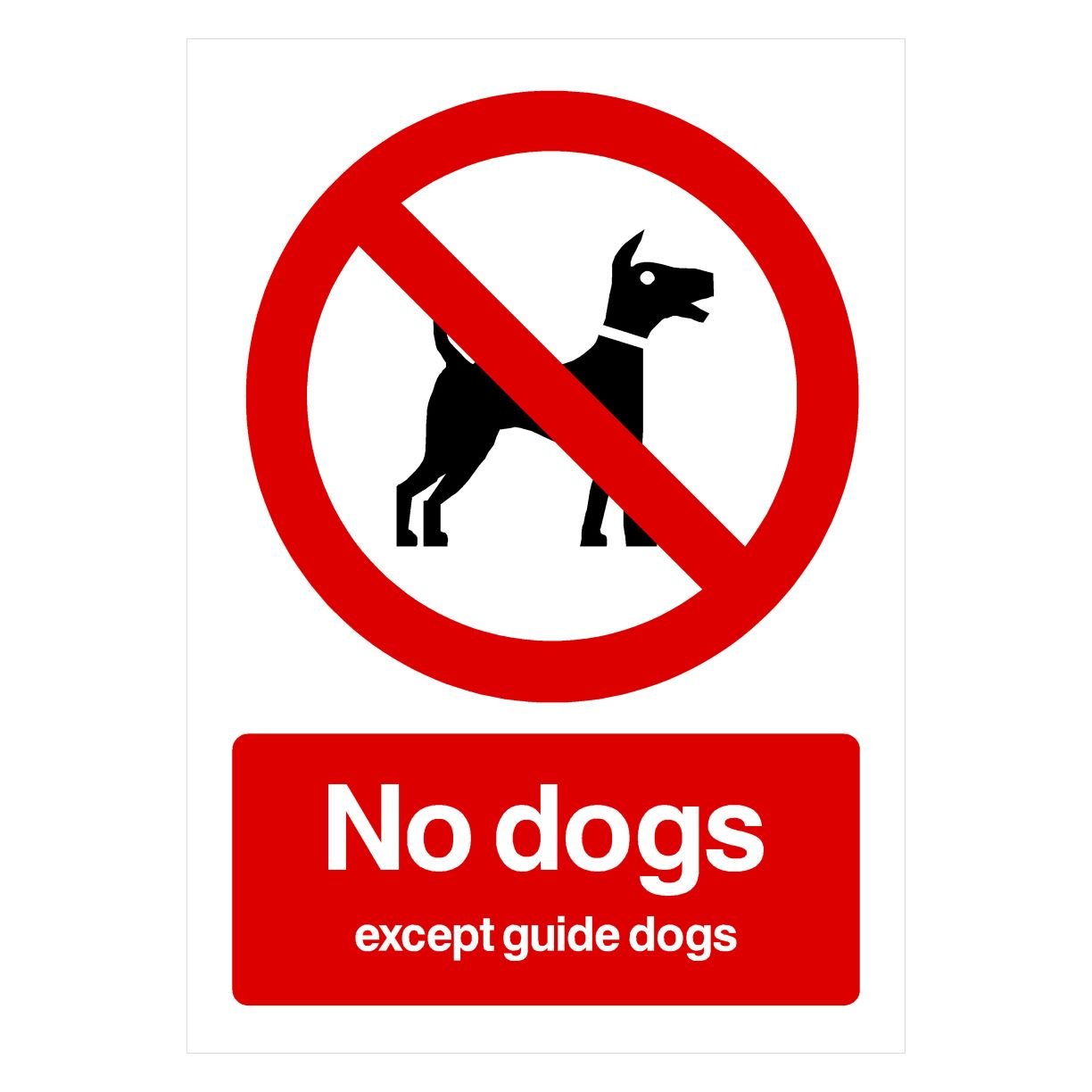 No Dogs Except Guide Dogs Sign