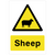 Sheep Warning Sign