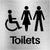 Unisex Disabled Toilets Sign in Brushed Silver